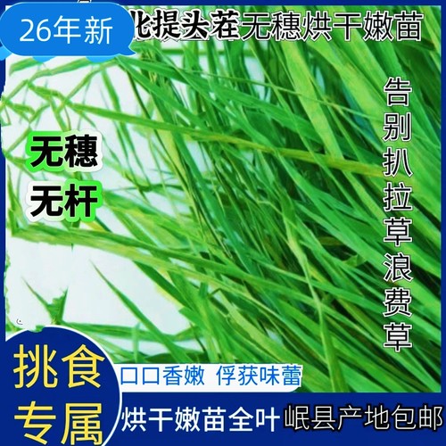 24年新品现货全叶烘干岷山牧草