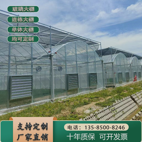 花卉育苗连栋大棚联动温室大棚