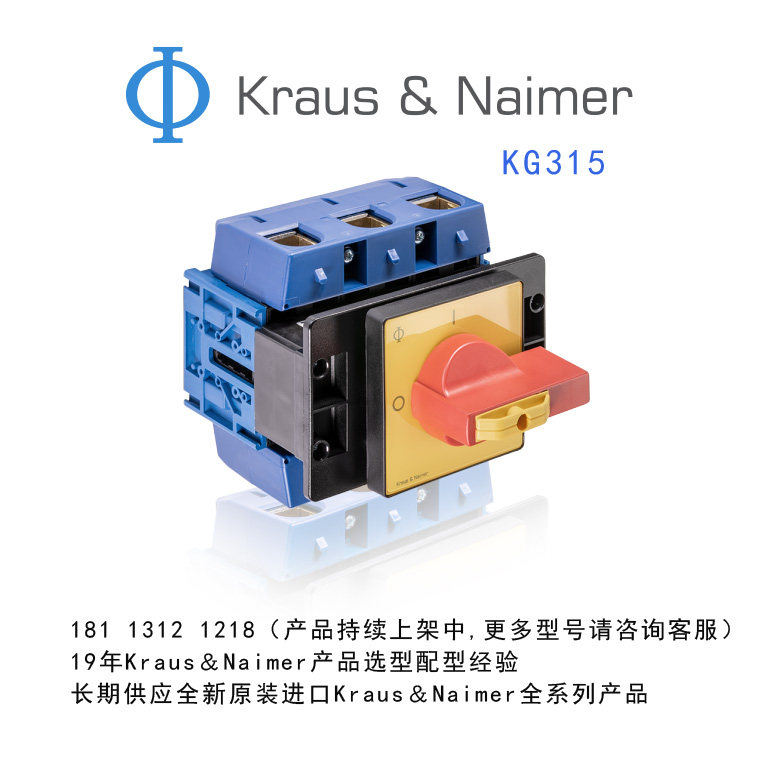KG315 T203/29 VE Kraus & Naimer 奥地利蓝系列 转换隔离开关