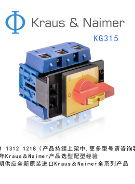 KG315 T203/29 VE Kraus & Naimer 奥地利蓝系列 转换隔离开关