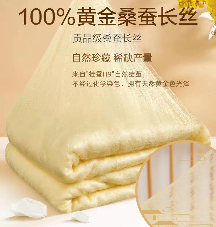 【新品推广】纯天然黄金蚕丝夏被优等品桑蚕长丝子母被冬被春秋被图片