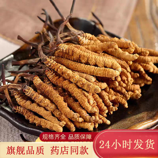 西藏那曲比如县精品冬虫夏草钻石级虫草旗舰品质店5 40根装