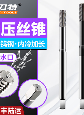 内冷却加长挤压合金丝锥H6高精度整体硬质钨钢丝攻数控攻丝铝钢用