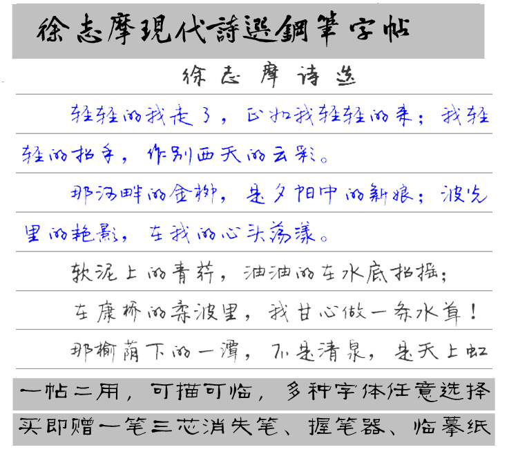 徐志摩诗词精选钢笔字帖李洪川行书 成人学生女生手写体连笔 练字
