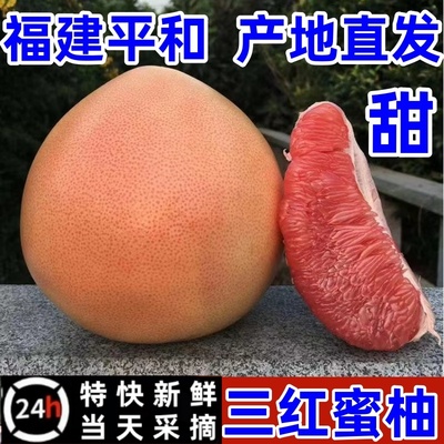 【万人回购】现摘现发35年老树