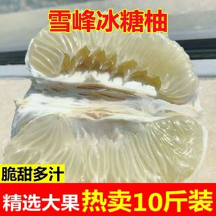湖南怀化安江雪峰冰糖柚小苦柚雪峰柚药柚子金兰柚爆汁10斤大果