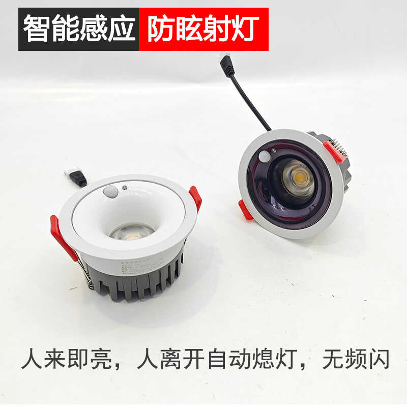 人体感应玄关天花筒灯图片