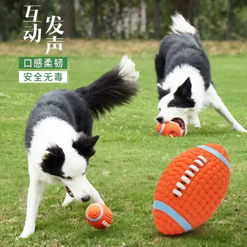 Собачья игрушка мяч вокальный щенок Тедди Тедди граница золотой ретривер Большие собаки моляр, кусая поставки домашних животных щенков