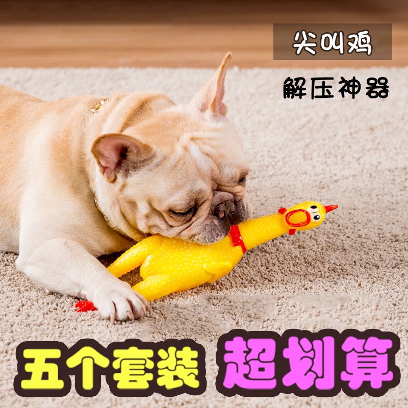 25省包邮绝望的战斗鸡机惨叫鸡宠物狗狗发声玩具 逗狗贵宾磨牙