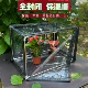 全包多肉保温棚挡雨罩防雨棚挡寒棚宠物防雨植物保温保湿 棚防尘罩