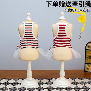 狗夏季薄纱裙子小犬猫猫咪迪博狗衣服春夏装款条纹宠物型泰比熊美