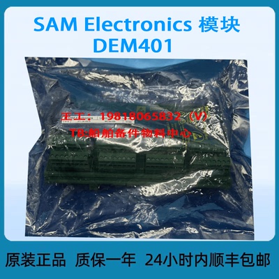 SAM Electronics 模块 DEM401
