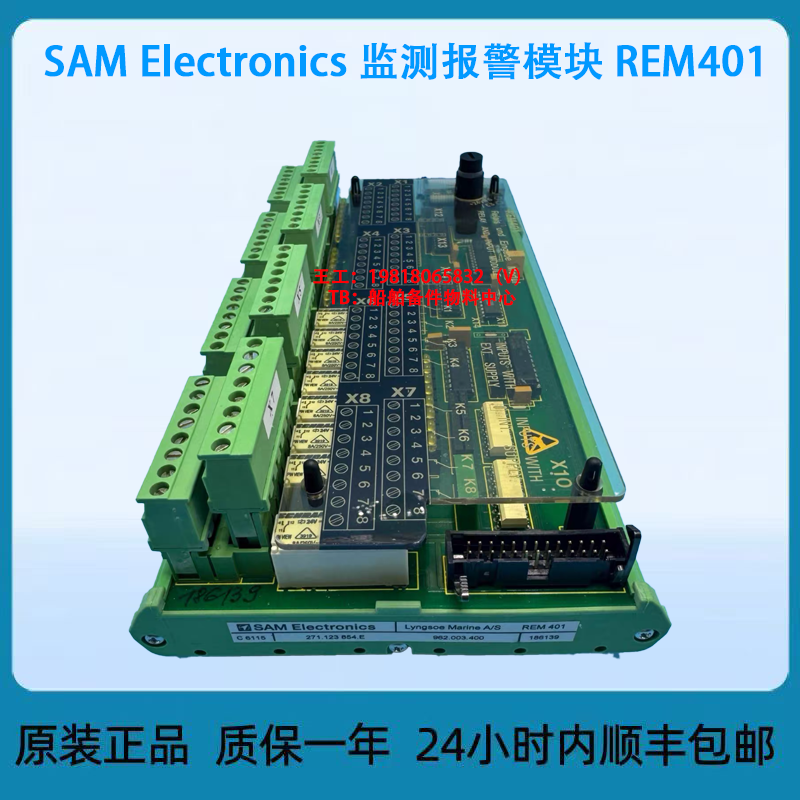 SAM Electronics 监测报警模块 REM401