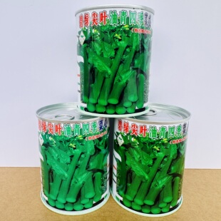 碧绿尖叶油青四季菜心种子抗热抗病粗条尖叶油青菜苔种籽蔬菜种孑