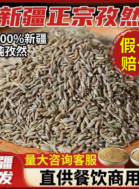 【新疆产地直供】浓香孜然粒+粉纯正商用烧烤撒料 羊肉串腌料调味