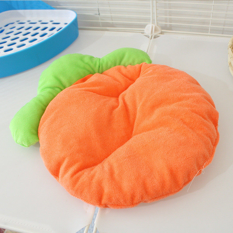 冬季小宠保暖宠物窝垫子龙猫兔子仓鼠刺猬荷兰猪幼体专用,宠物/宠物食品及用品,小宠医疗用品,淘宝优惠券,粉丝福利购,淘宝优惠卷