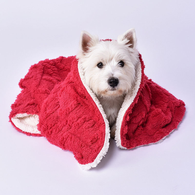 秋冬双面毛绒宠物保暖毯子狗狗被子中小型犬幼犬室内专用,宠物/宠物食品及用品,猫狗垫子,淘宝优惠券,粉丝福利购,淘宝优惠卷