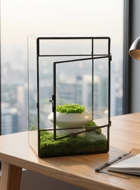 几何玻璃小型客厅生态盆桌面造景缸迷你雨林盒苔藓微景观水草缸