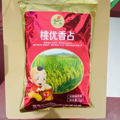 桃优香占水稻种子 矮杆杂交谷种 籼稻稻谷种子优质稻一季稻