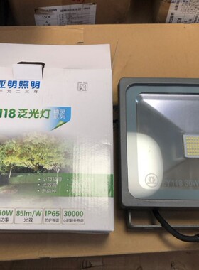 上海世纪亚明LED投光灯 ZY118/228/338泛光灯 20W30W50W100W150W