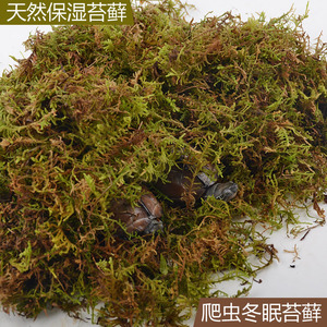 乌龟椰土冬眠乌龟冬眠砖营养土爬虫活体宠物垫材椰砖苔藓过冬椰泥