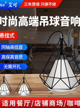 吊球音响商店铺网红款工业风悬挂式音箱室内背景音乐明装喇叭套装