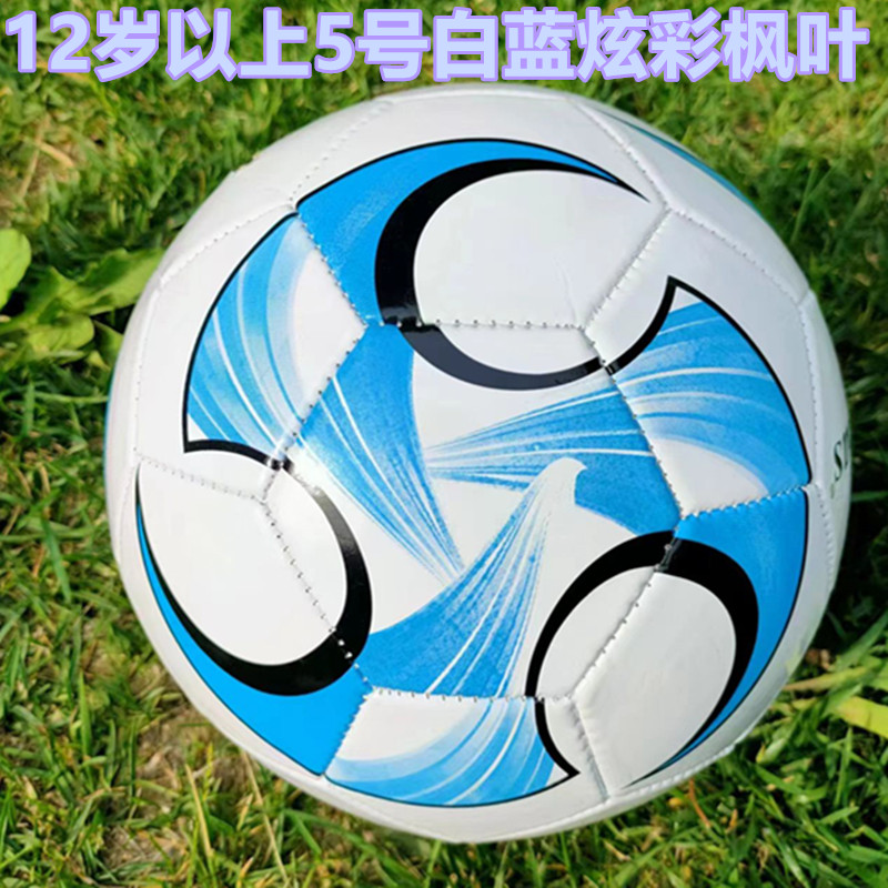 耐踢中考足球3号儿童足球4号中小学生足球5号成人足球2号幼儿足球