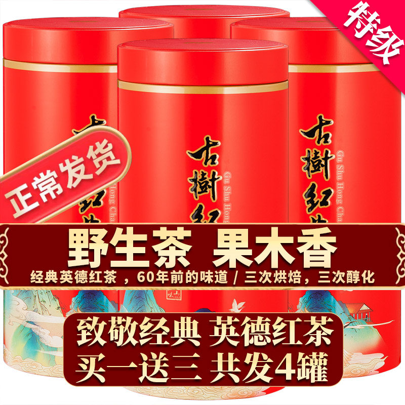 英德古树红茶新拾记高山野生2025年新茶春茶罐装特级花果香500克