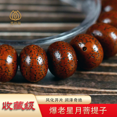 大尺寸老星月菩提子单圈手串