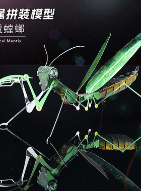 全金属拼装模型diy手工昆虫彩色
