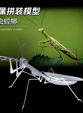 全金属不锈钢diy拼装模型迷你