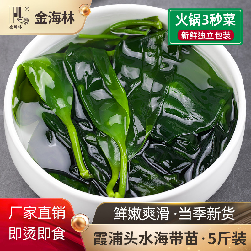 金海林霞浦5斤海带苗火锅食材图片