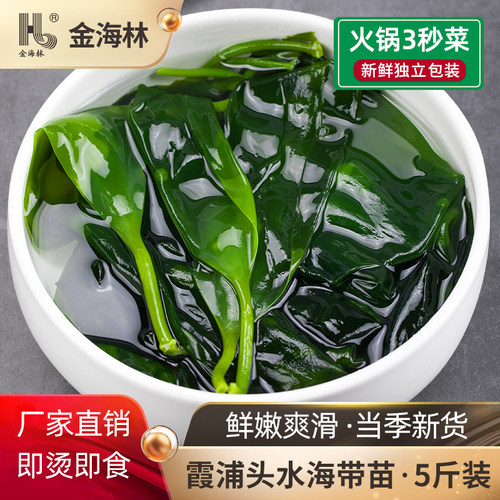 金海林霞浦5斤海带苗火锅食材