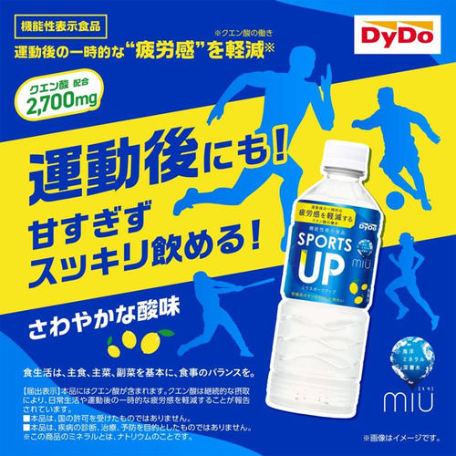 日本进口达亦多Dydo饮料运动风味饮料清爽酸味饮料550ml