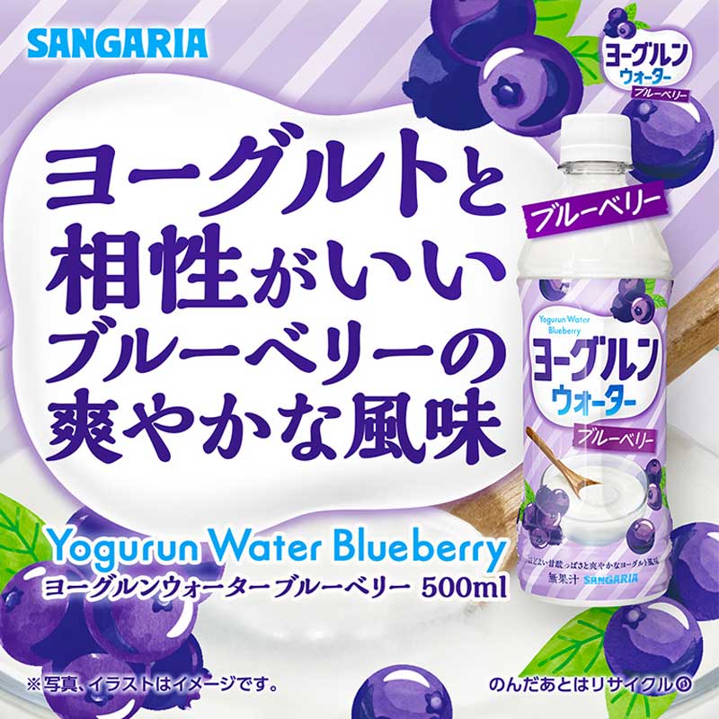 新品】日本进口三佳利Sangaria饮料椰果酸奶蓝莓酸奶味饮料500ml