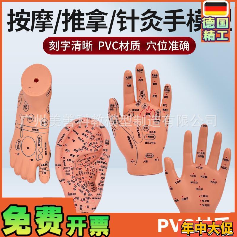 刻字清晰耳穴模型足穴模型穴位手模型耳按摩手模型针灸耳16厘米