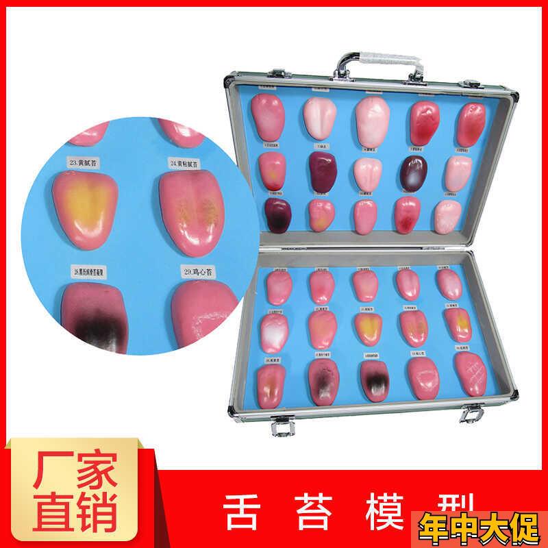 人体舌头舌苔模型常见病舌苔病变比较中医口腔望诊教学解剖模型