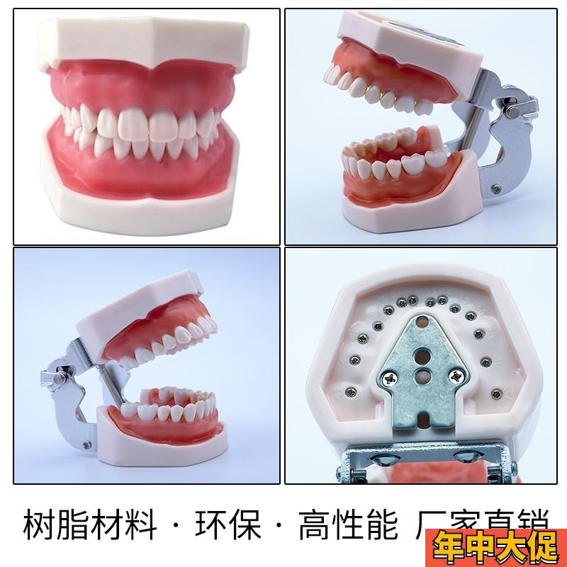 新款备牙商用开髓牙种植牙科牙粒口腔根管离体牙树脂牙考试专用牙