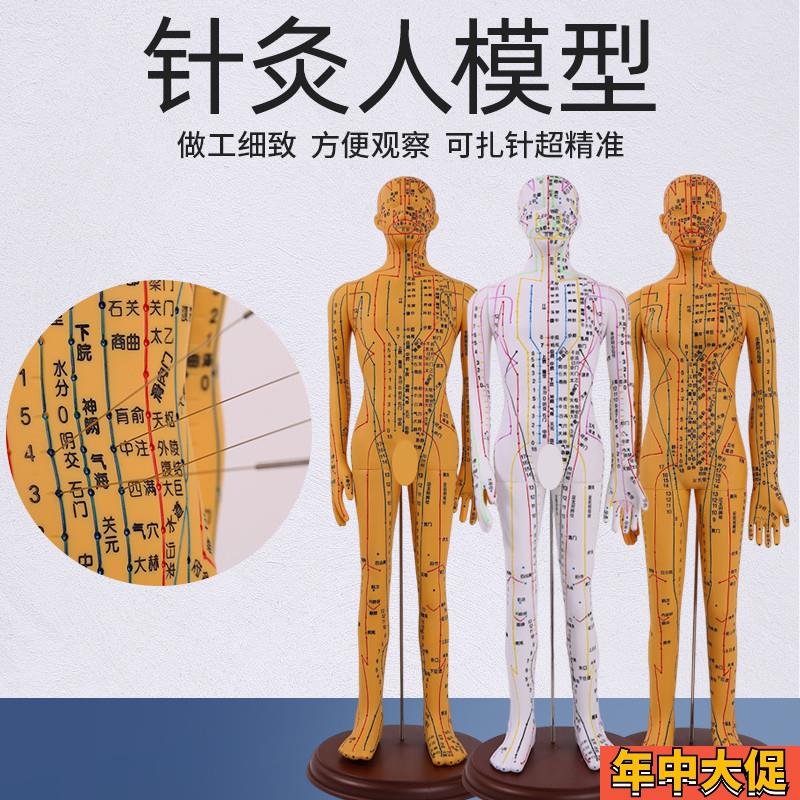 中医针灸穴位模型图全身家用十二经络人体硅胶模型可扎针小铜皮人