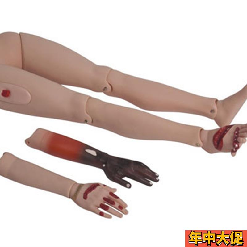 高级创伤护理训练四肢模型模块上肢下肢包扎伤口处理练习模具