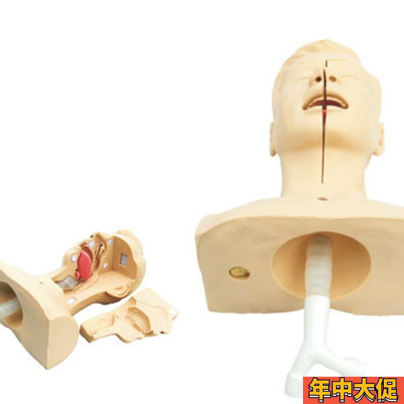 高级吸痰练习模型 鼻腔口腔插管吸引训练模型 医学用操作教学模型