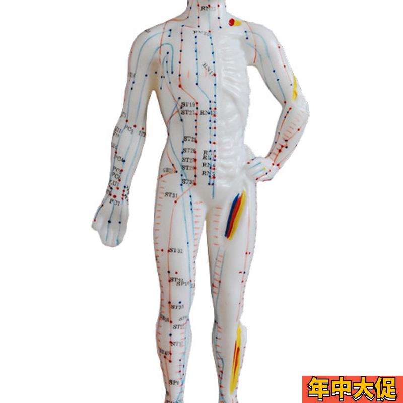 中医针灸小人人体经络穴位模型针灸穴位模型小人26cm教学模特硅胶