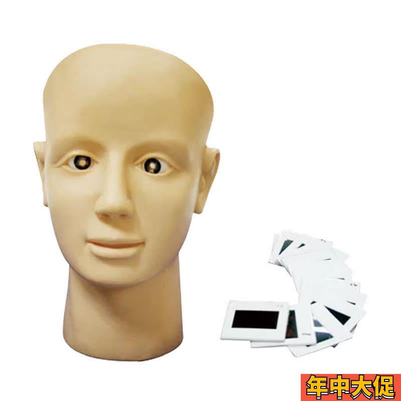 眼视网膜病变训练模型眼球检查练习养老护理高血压糖尿病人眼睛