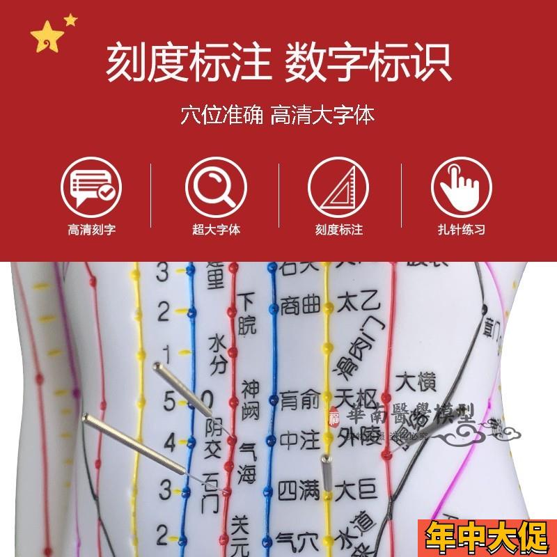 超清楚 针灸铜人中医人体穴位模型人体模型 人体穴位模型女48CM