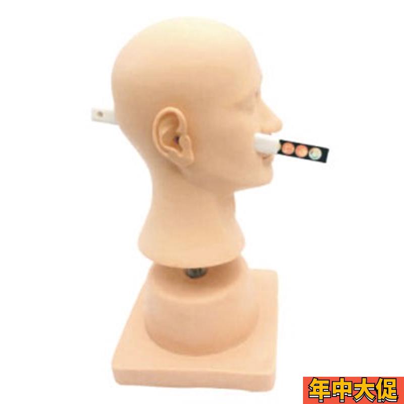 耳道诊断耳部病变耳部检查耳部清洗耳部训练模型