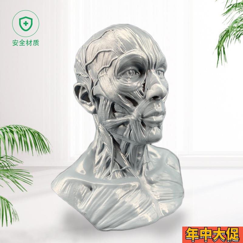 艺用人体肌肉头雕素体静物绘画参考头骨模型 美术半身像摆件造景