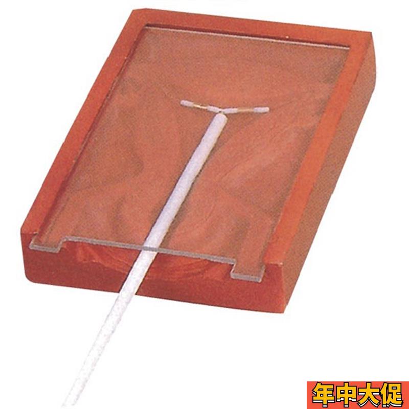 高级宫内避孕器训练模型 计划避孕模型 计生教育模型