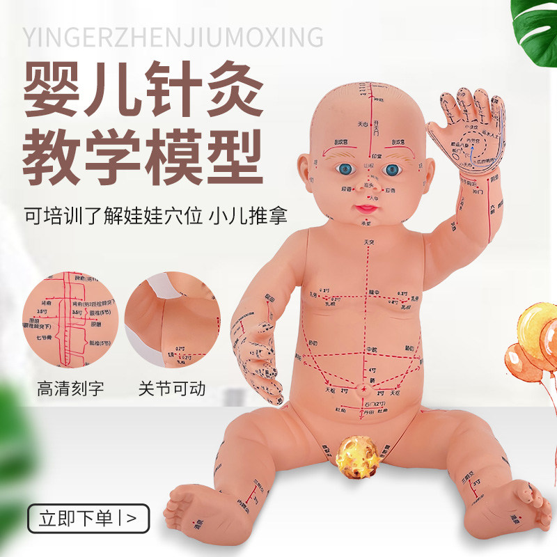 婴儿人体模型儿童娃娃人体模型针C灸中医通用穴位小儿推拿仿真模