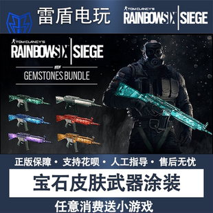Steam/Uplay 彩虹六号 R6 钴元素红/紫宝石水晶白金 涂装皮肤套装