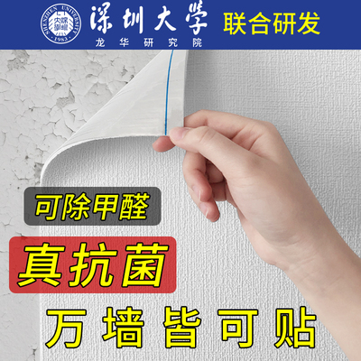 雷光专利抗菌防霉隔热墙贴